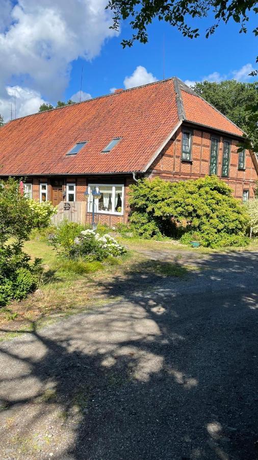 Hof Dueshop Lägenhet Bad Fallingbostel Exteriör bild