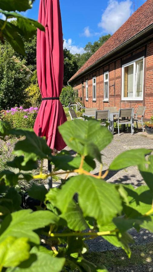 Hof Dueshop Lägenhet Bad Fallingbostel Exteriör bild