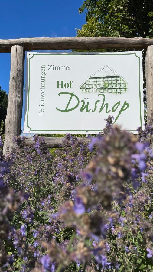 Hof Dueshop Lägenhet Bad Fallingbostel Exteriör bild