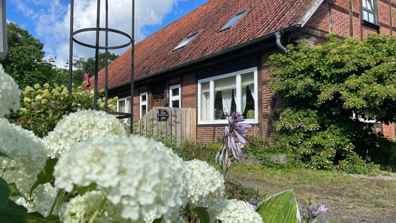 Hof Dueshop Lägenhet Bad Fallingbostel Exteriör bild