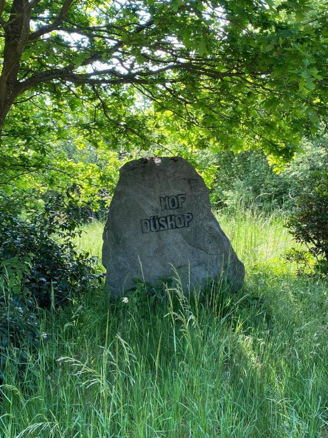 Hof Dueshop Lägenhet Bad Fallingbostel Exteriör bild