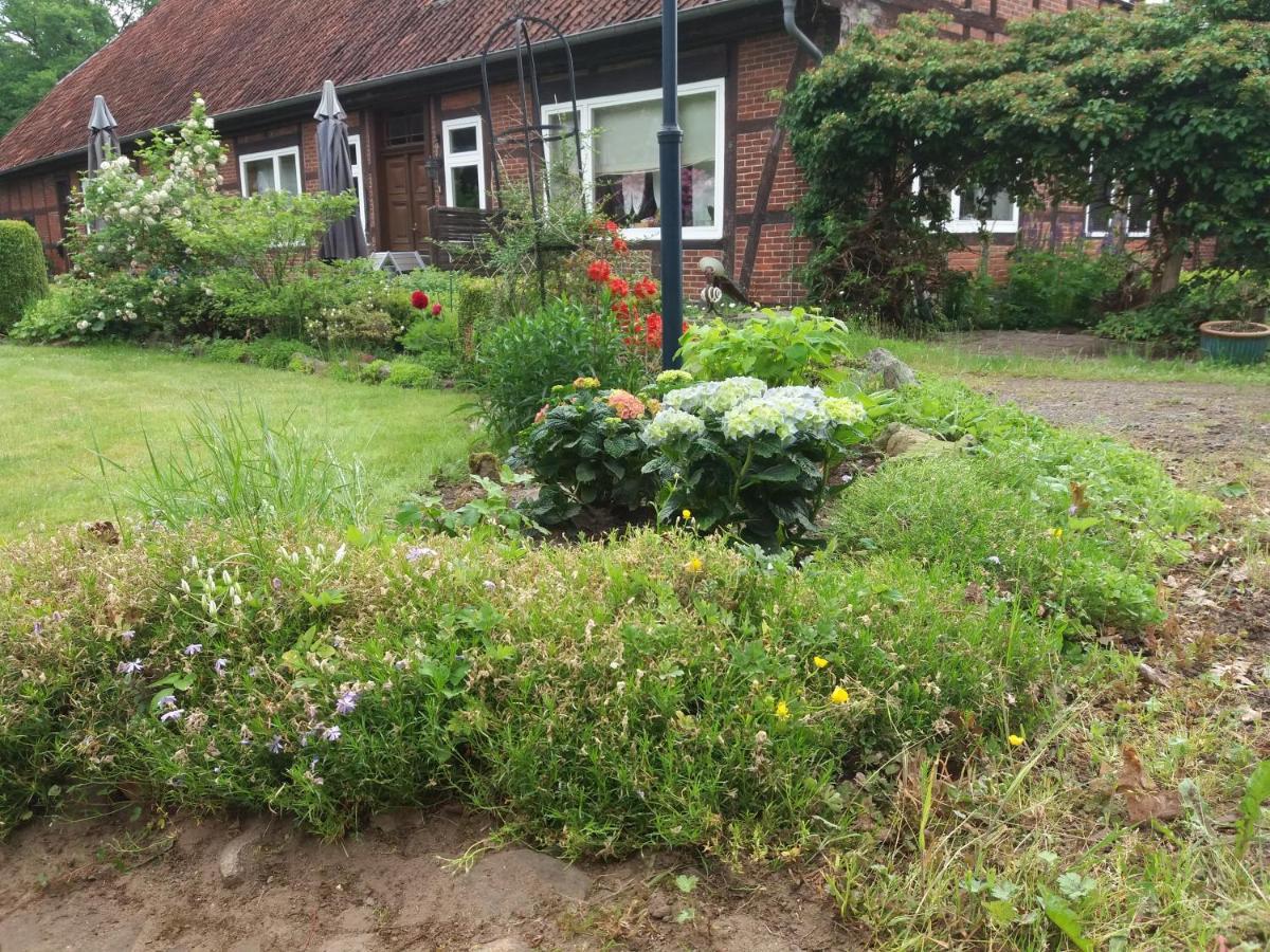 Hof Dueshop Lägenhet Bad Fallingbostel Exteriör bild