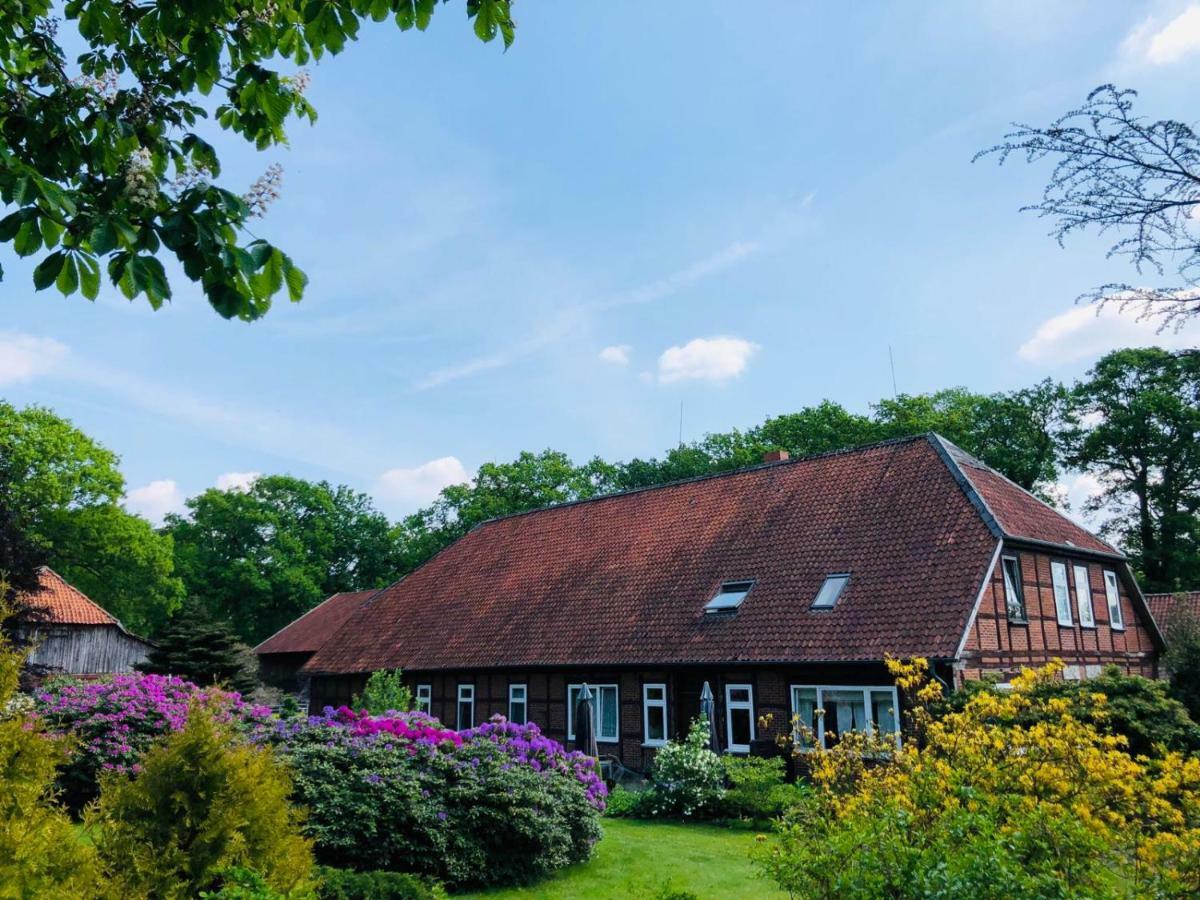 Hof Dueshop Lägenhet Bad Fallingbostel Exteriör bild